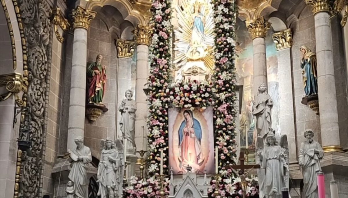 cientos cantan a la virgen de guadalupe en catedral