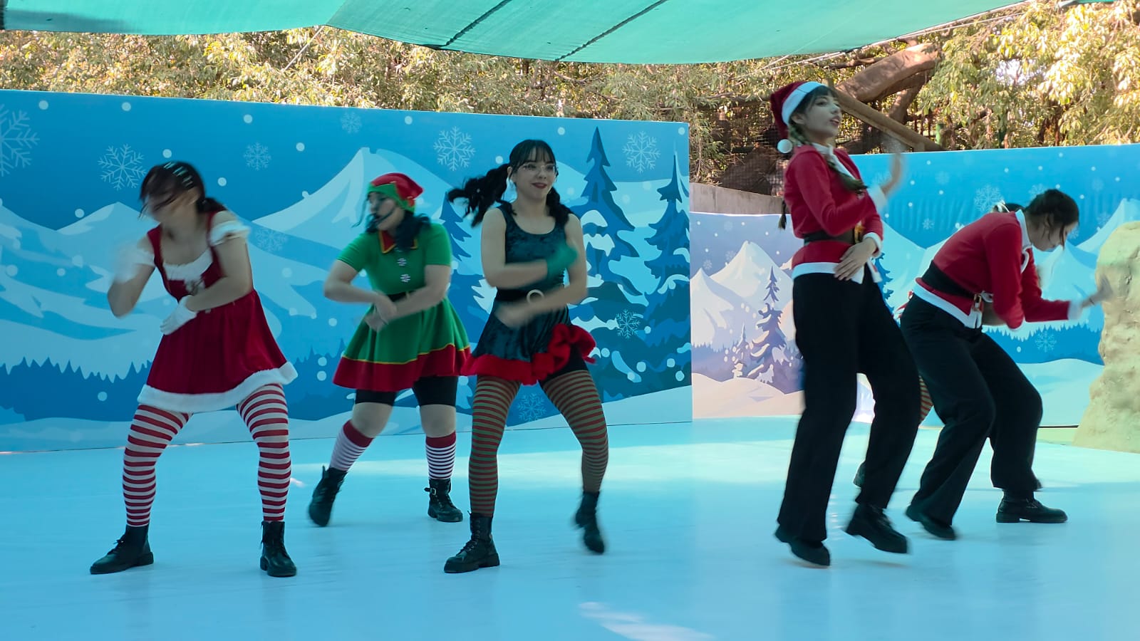 Show navideño en el Zoológico de Culiacán durante presentación de capibaras