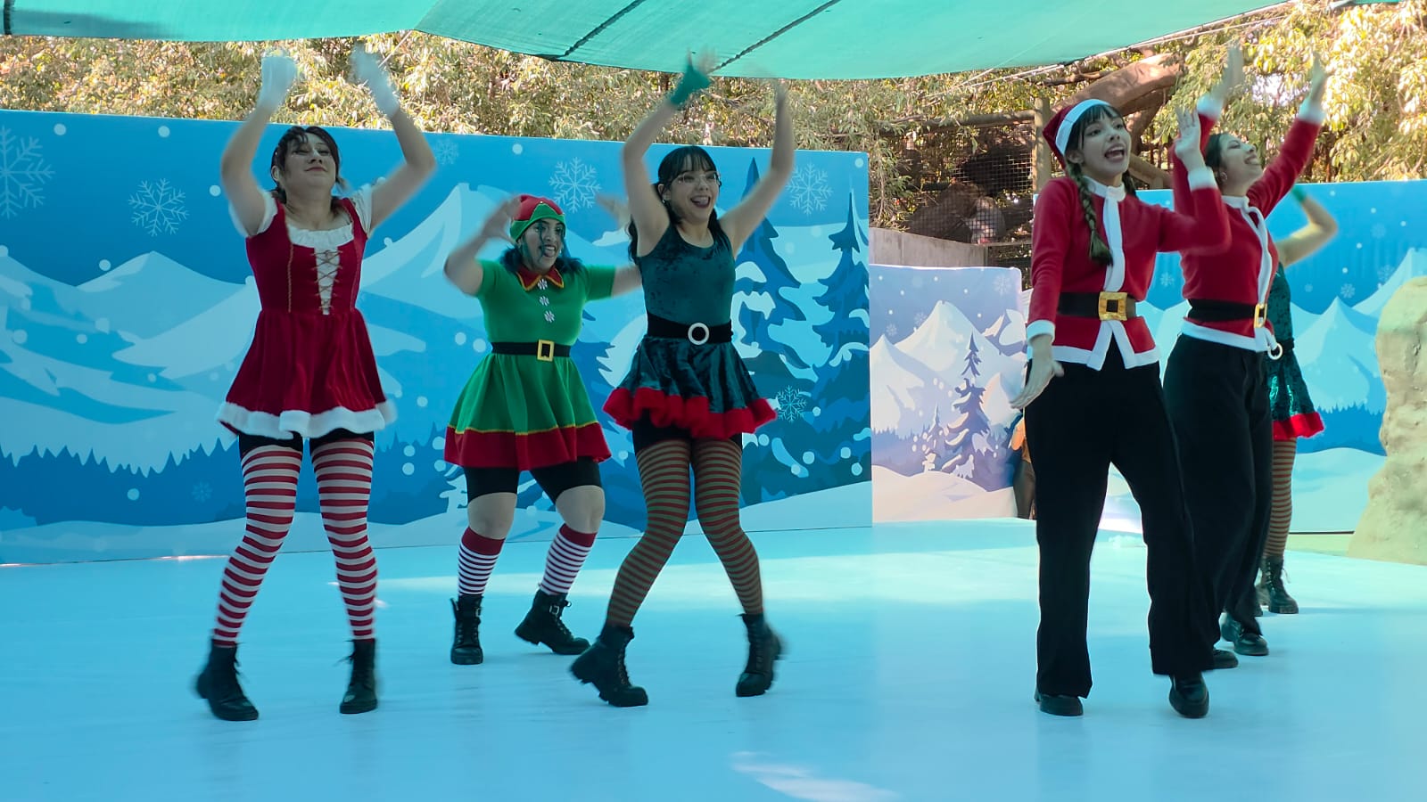 Show navideño en el Zoológico de Culiacán durante presentación de capibaras