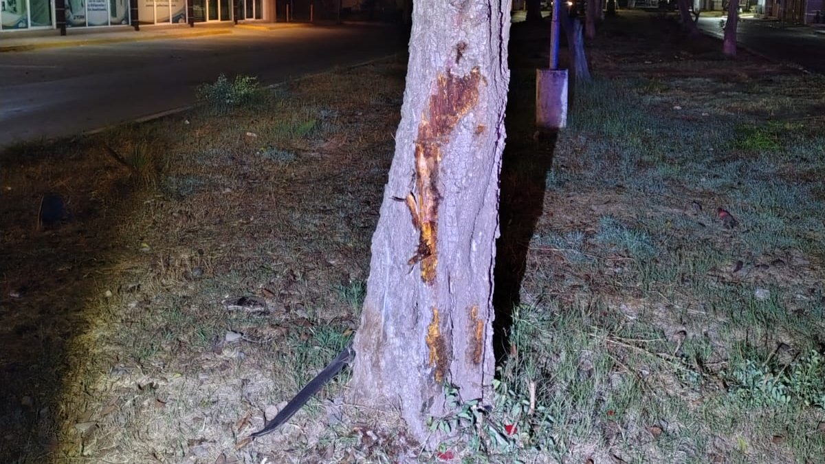 conductor se estrella contra un arbol en la colonia texas de los mochis sin