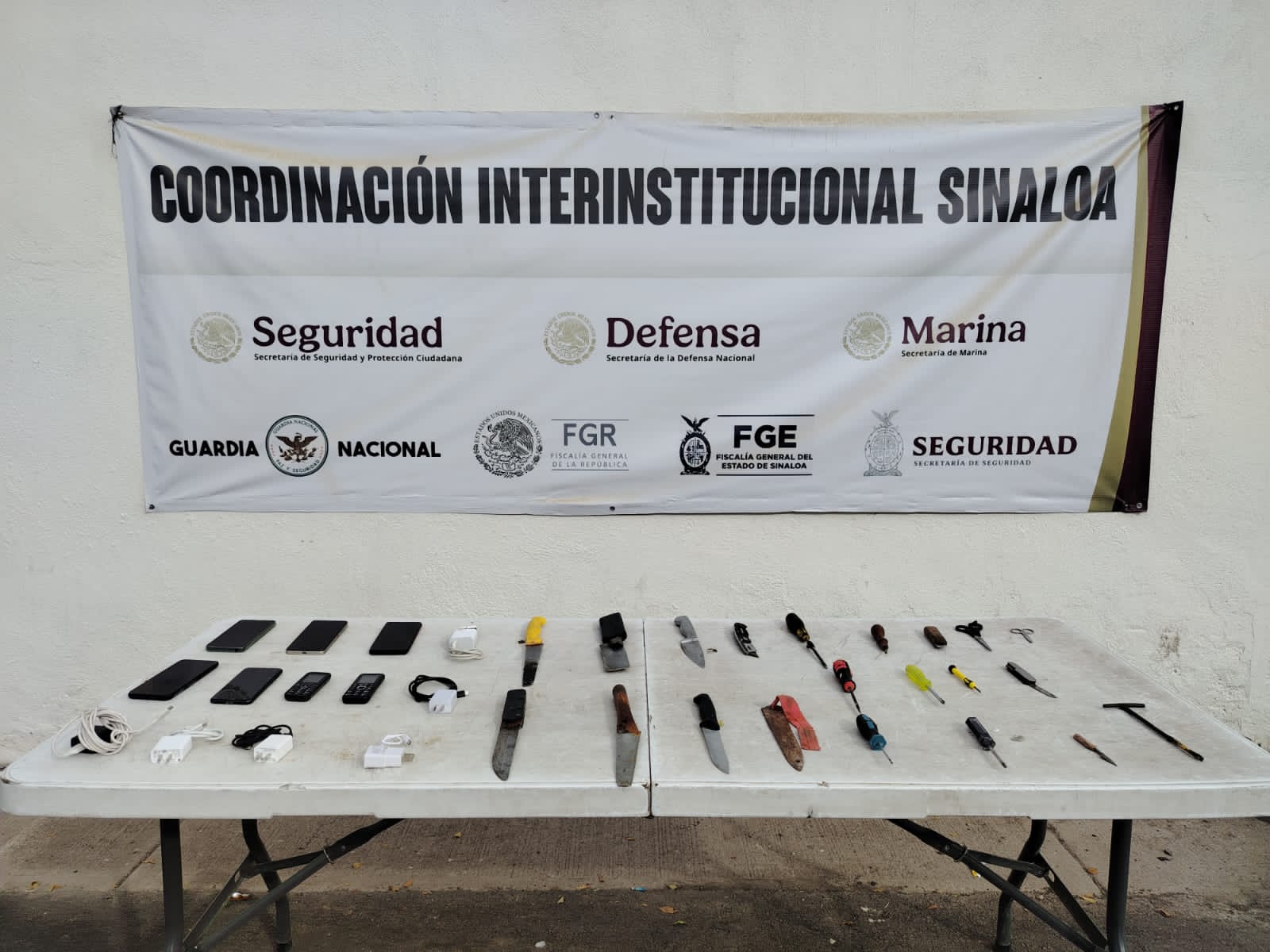 decomiso penal aguaruto