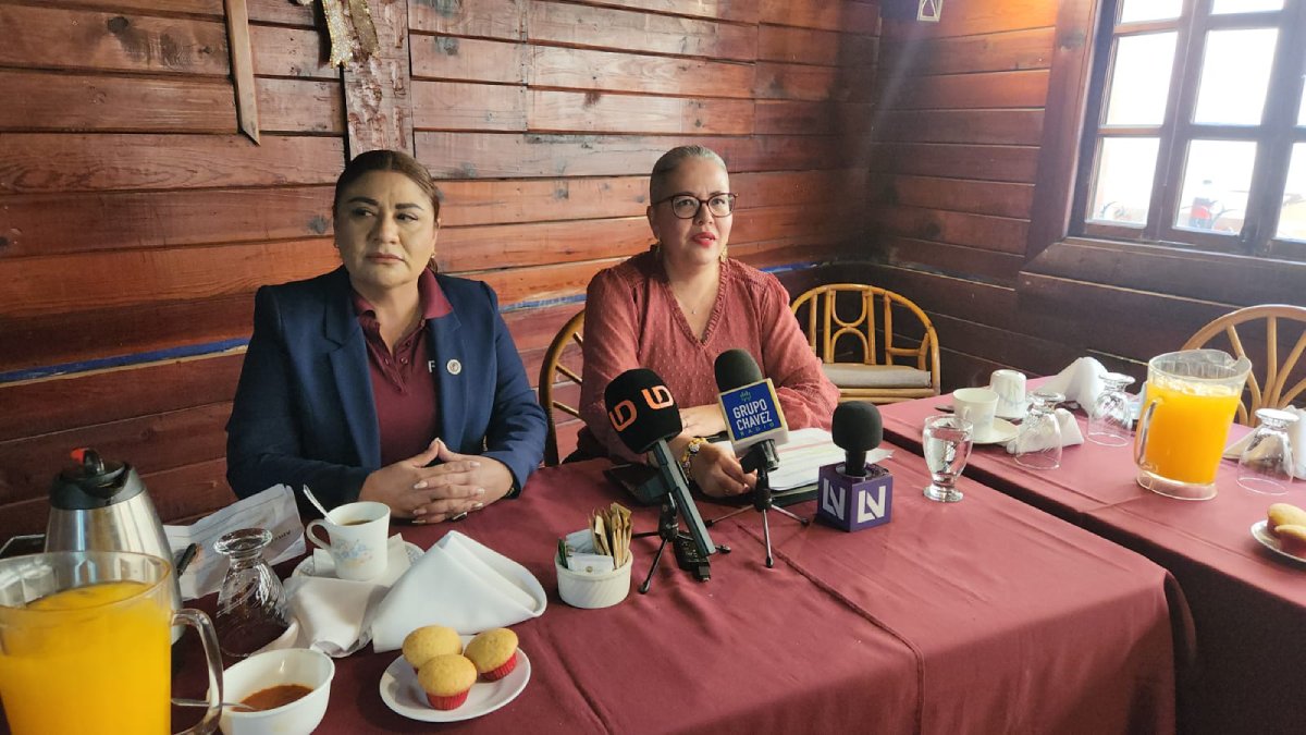 diputada federal por morena graciela dominguez nava