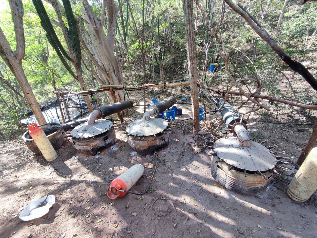 Guardia Nacional y Ejército Mexicano localizaron e inhabilitaron un laboratorio clandestino