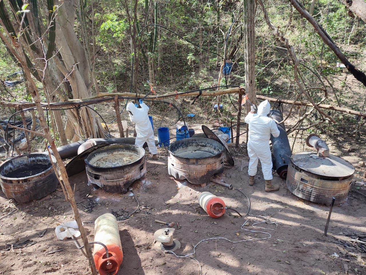 Guardia Nacional y Ejército Mexicano localizaron e inhabilitaron un laboratorio clandestino