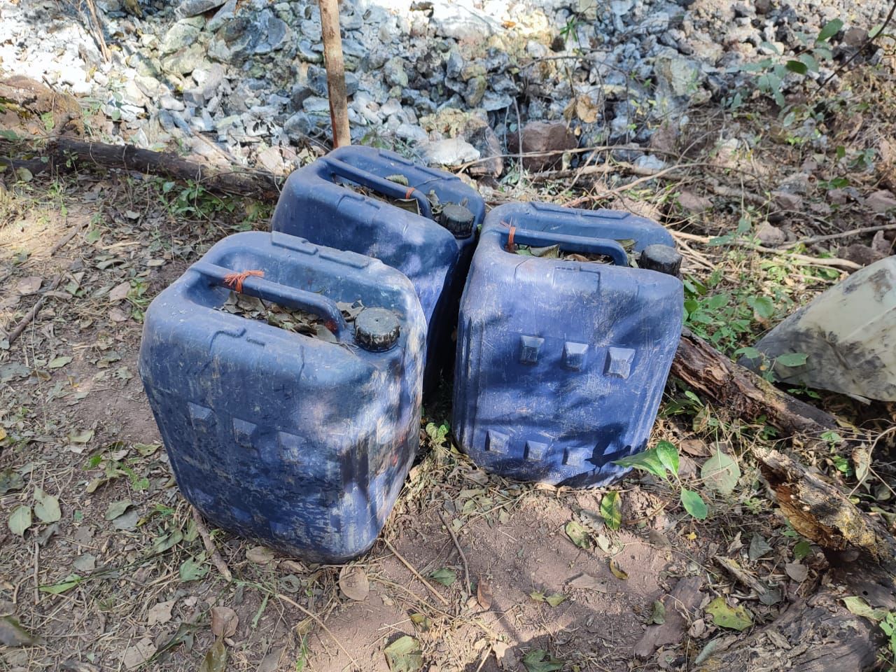 Guardia Nacional y Ejército Mexicano localizaron e inhabilitaron un laboratorio clandestino