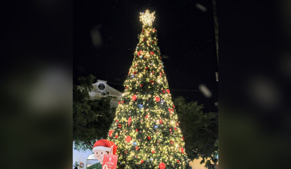 Encendido del árbol navideño en la Plazuela Machado, en Mazatlán