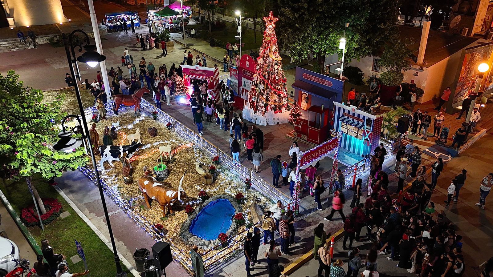 Encendido del árbol navideño y nacimiento en Badiraguato, Sin.
