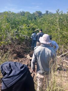 Fosa clandestina sindicatura de Mármol