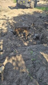 Fosa clandestina sindicatura de Mármol