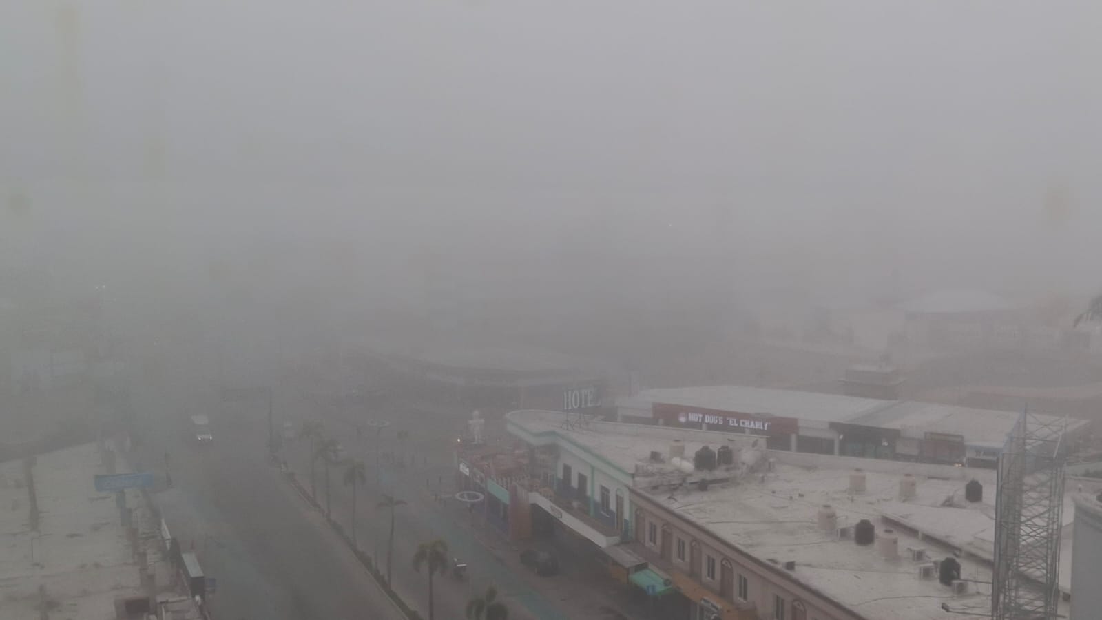 la niebla no detuvo el servicio de transporte urbano en el puerto