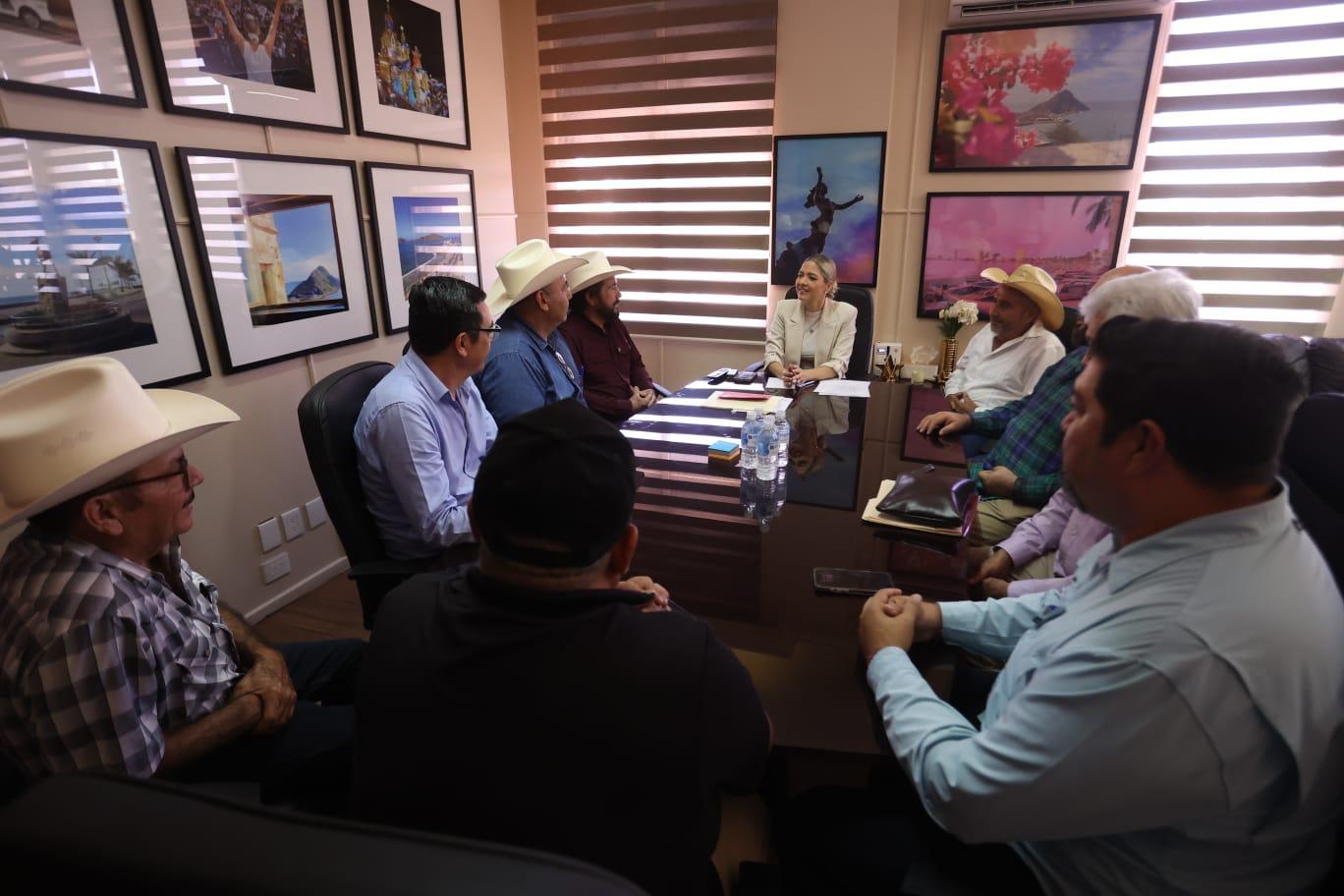 Ganaderos de Mazatlán recibirán apoyos para la compra de sementales