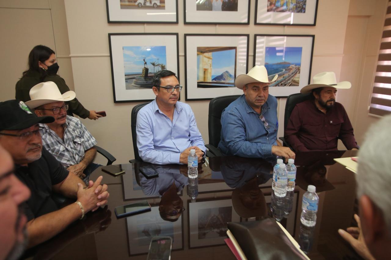Ganaderos de Mazatlán recibirán apoyos para la compra de sementales