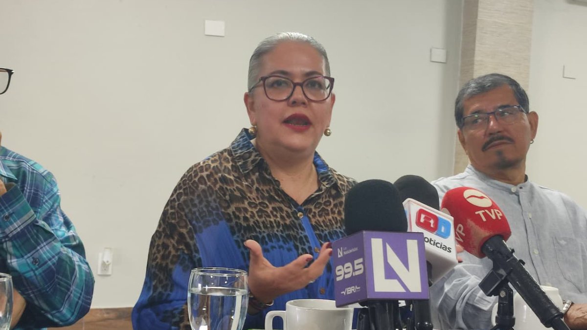 graciela dominguez diputa de morena