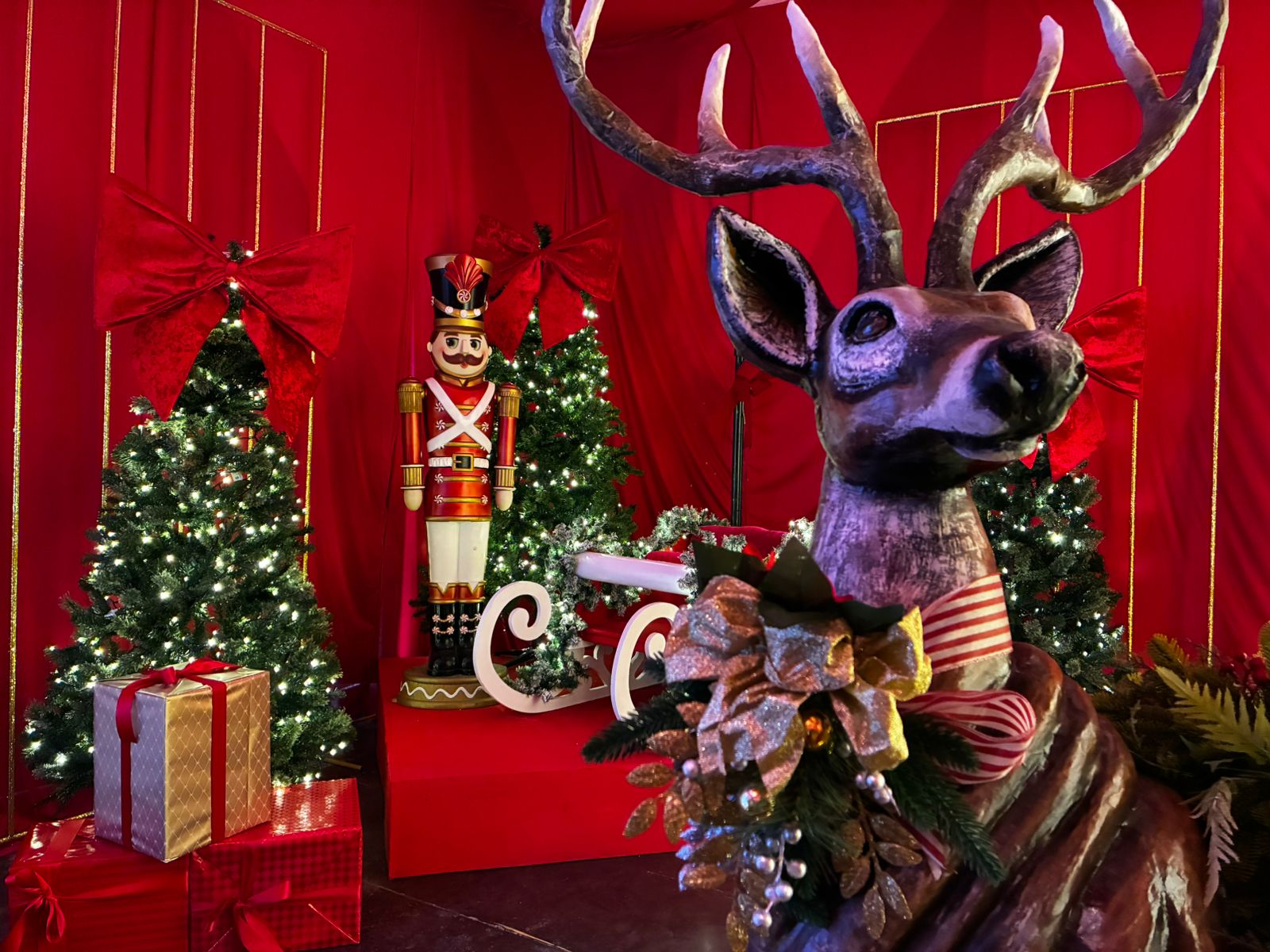Llega la experiencia Tiempos de Navidad al Gran Acuario Mazatlán