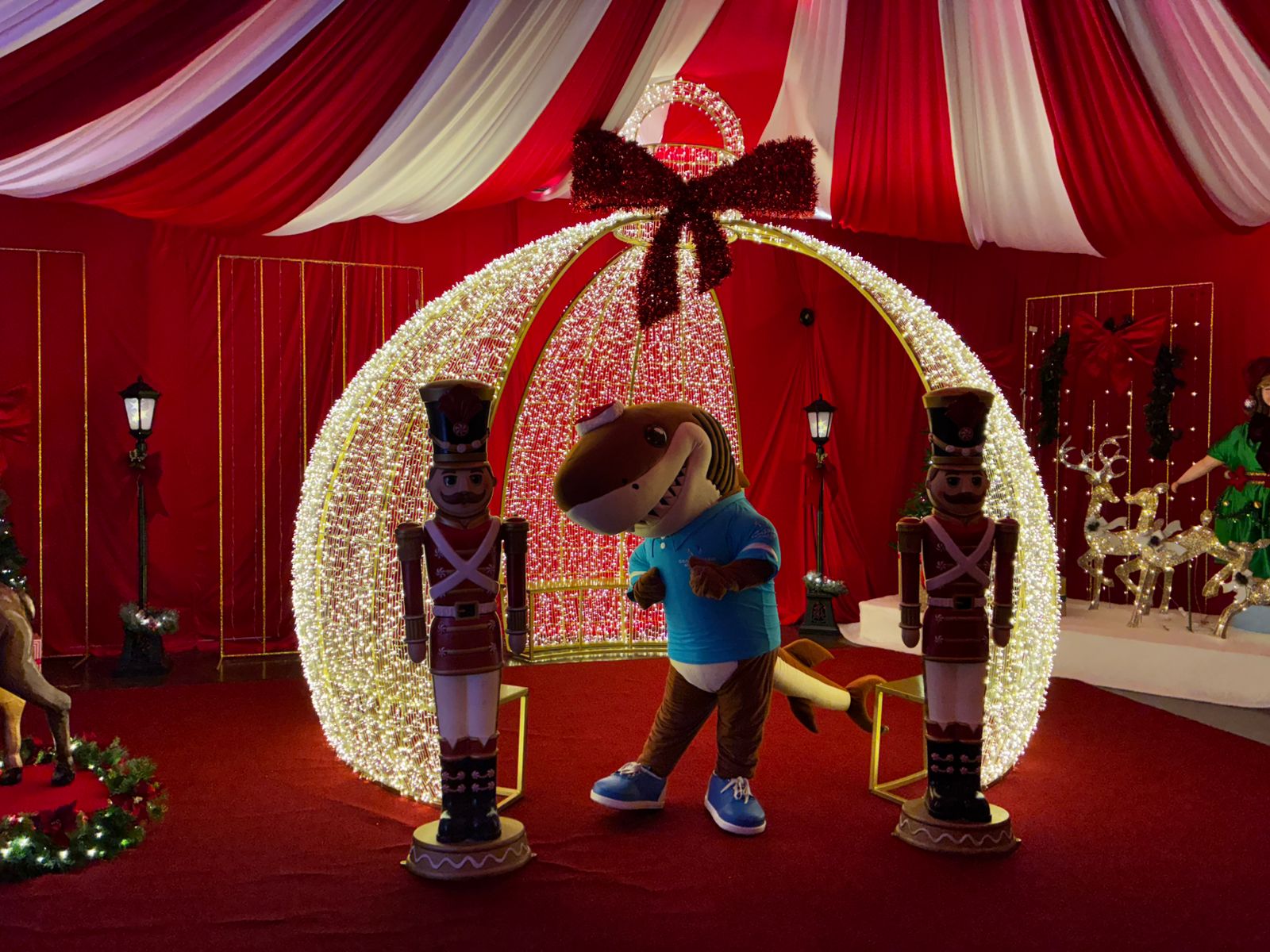 Llega la experiencia Tiempos de Navidad al Gran Acuario Mazatlán