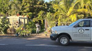 Hombre es ejecutado en vivero de San Pedro, Navolato