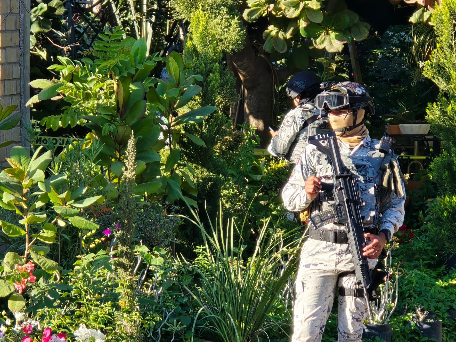 Hombre es ejecutado en vivero de San Pedro, Navolato