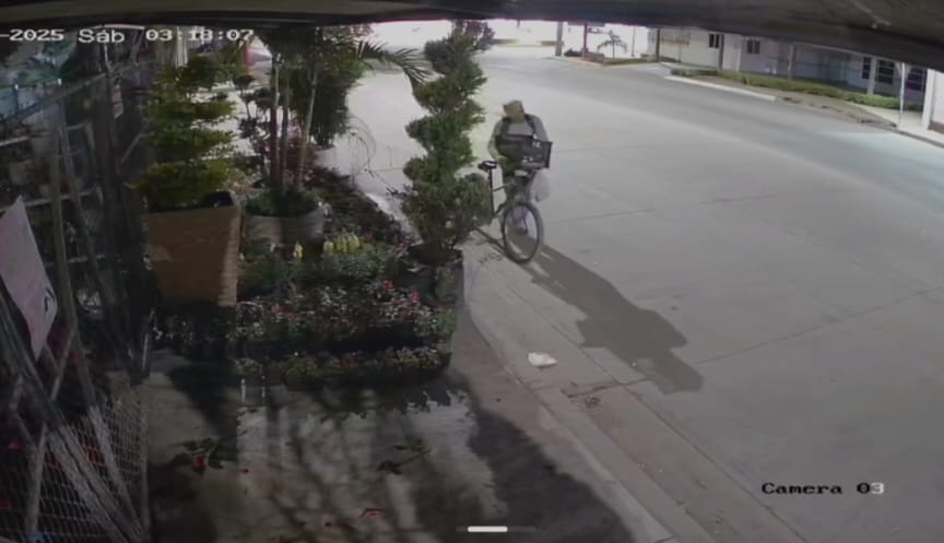 Hombre roba plantas en Guamúchil
