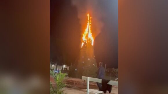 Un “cuete” y la imprudencia dejan sin árbol de Navidad a habitantes de Caimanero, Guasave