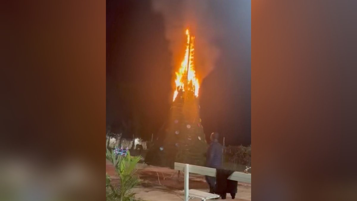 incendio árbol navideño en Caimanero, Guasave