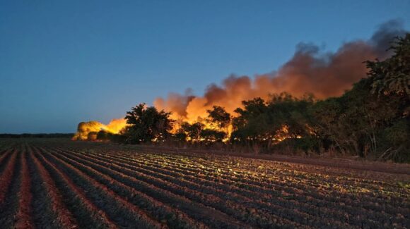Sin pistas sobre la causa del incendio de malla sombra en La Trinidad, Guasave, informa Bomberos