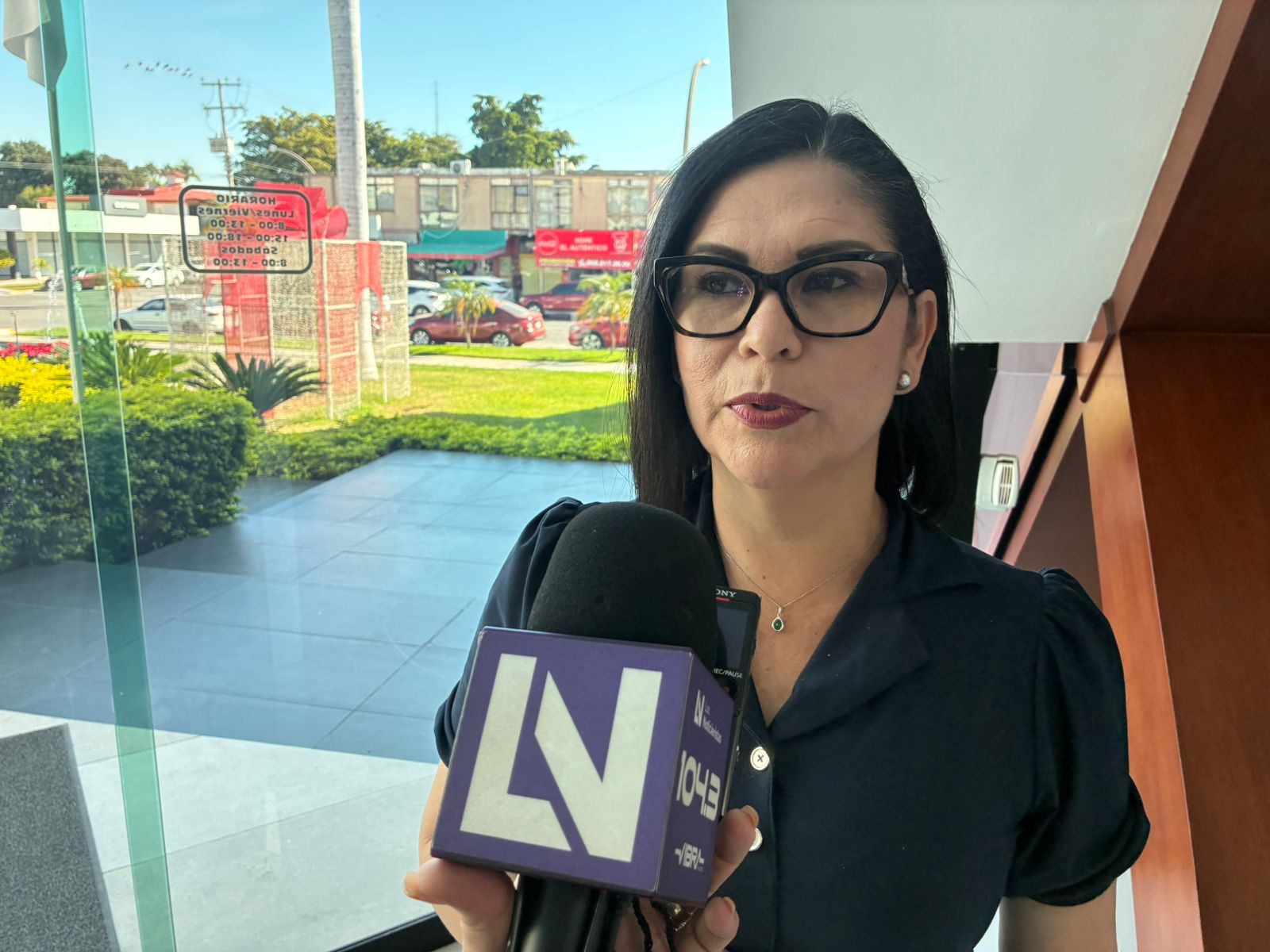 Diputada Juana Minerva Vázquez González