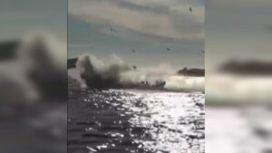 lancheros provocan miedo a turismo en topolobampo sinaloa