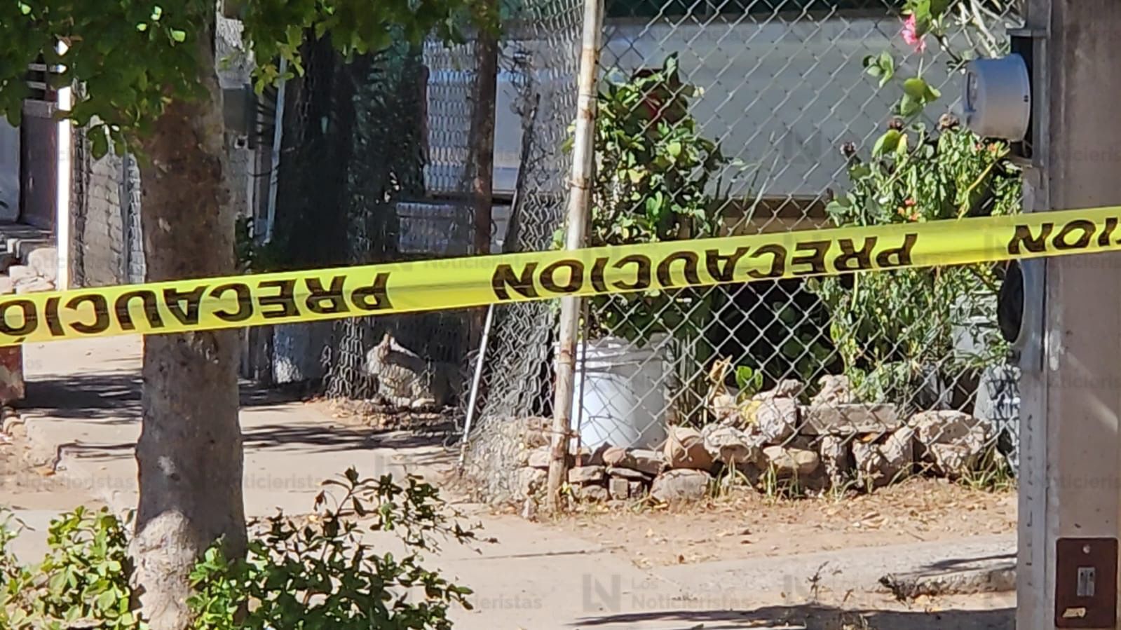 las autoridades resguardan la escena del crimen frente al parque de Los Ángeles