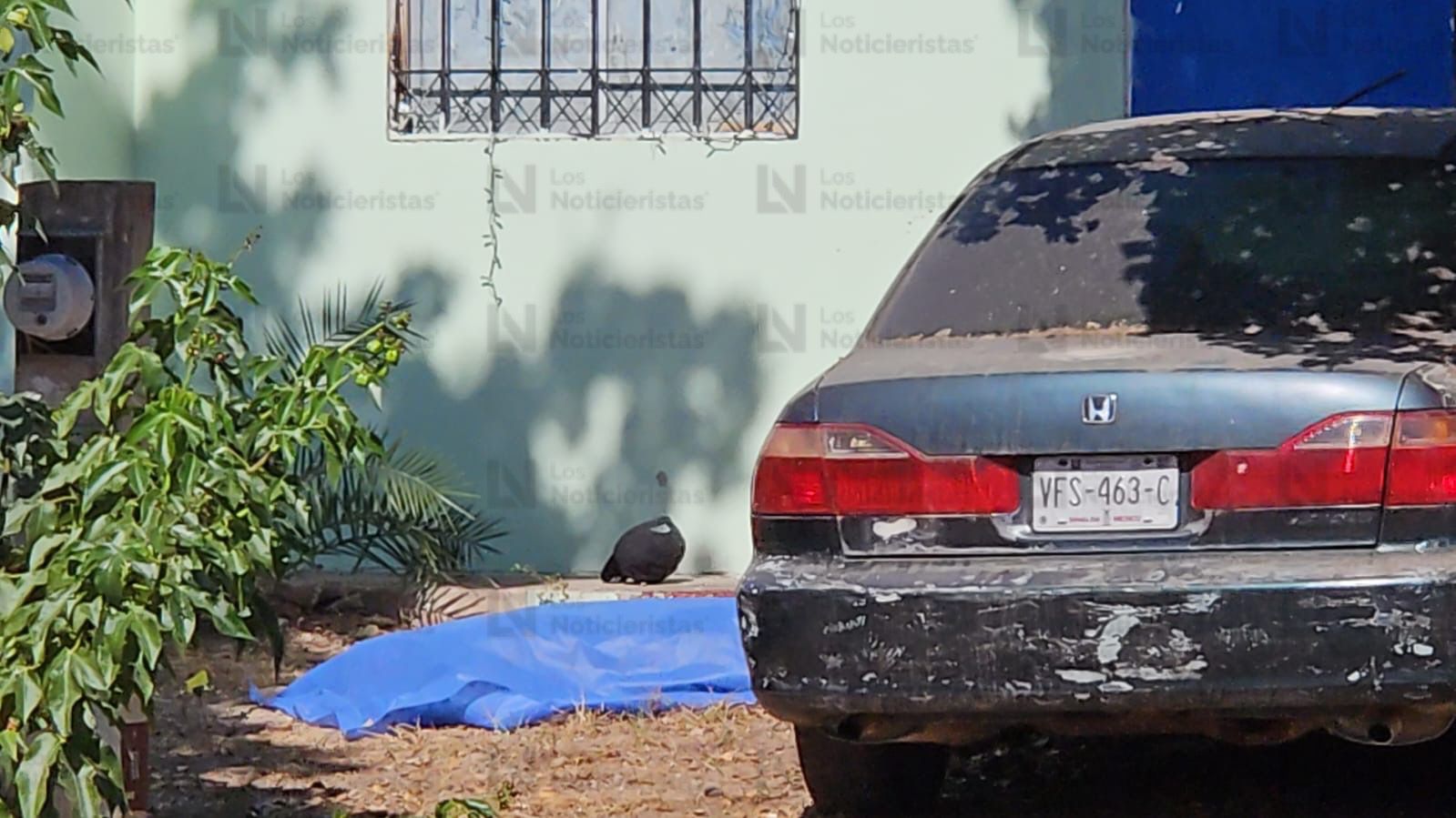 las autoridades resguardan la escena del crimen frente al parque de Los Ángeles