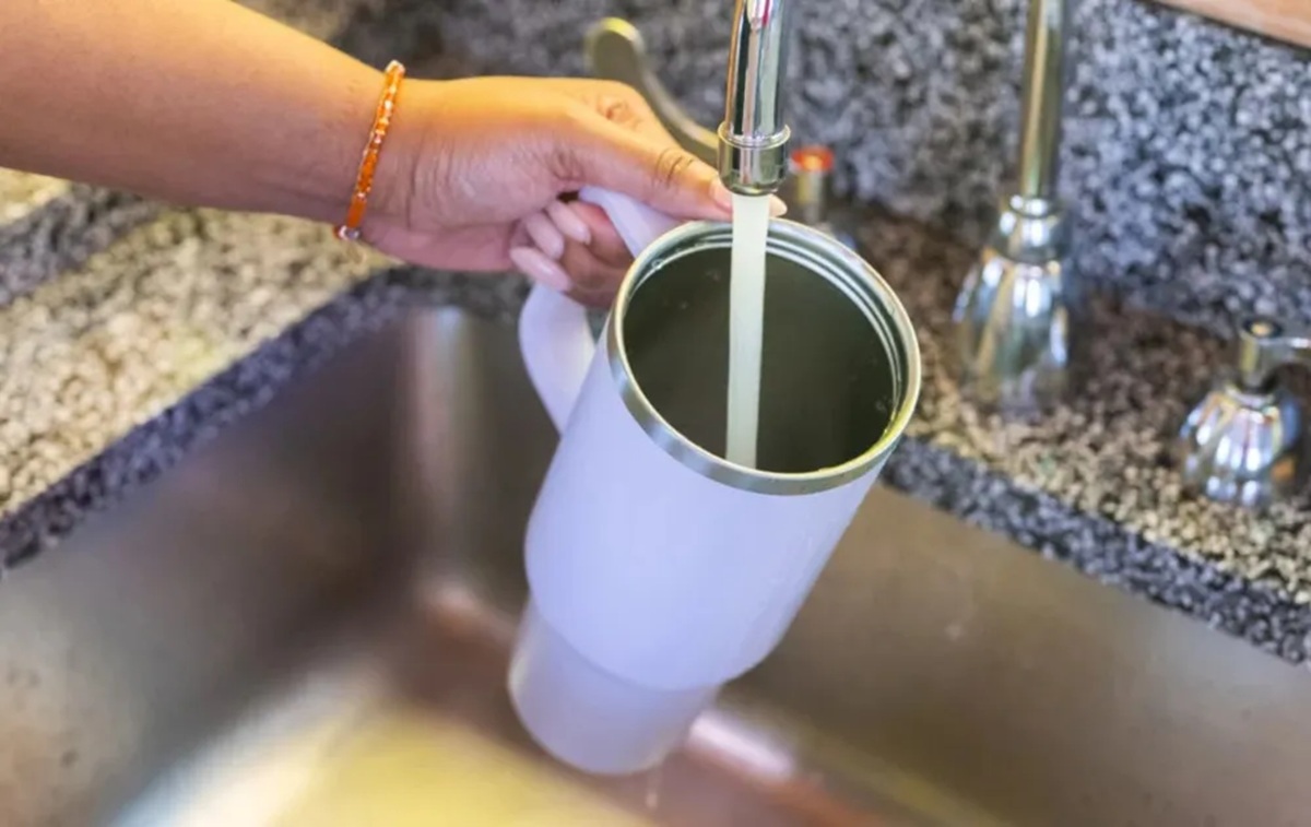 Lavado de termos y vasos de acero para eliminar el sarro