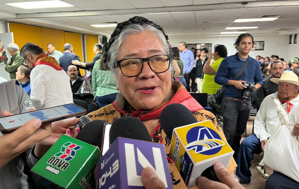 Luisa Cortés García, senadora de Morena por Oaxaca