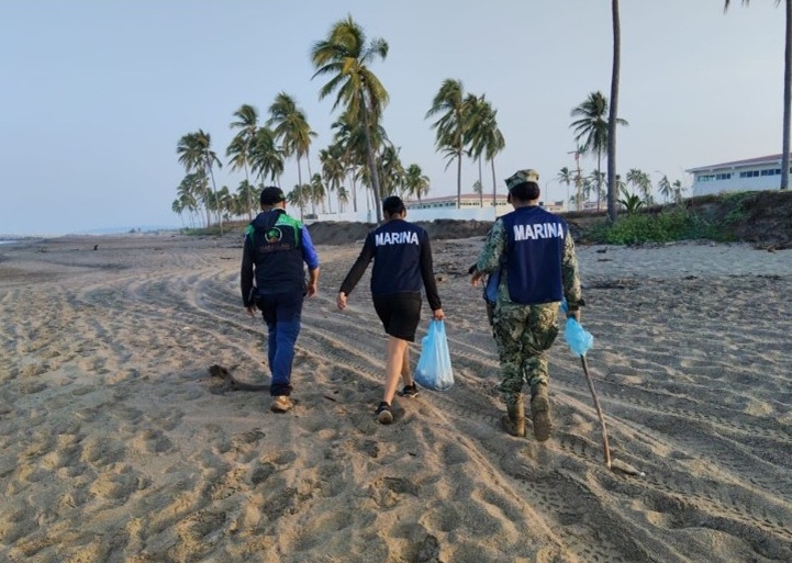 Marina rescata huevos de tortuga en Nayarit