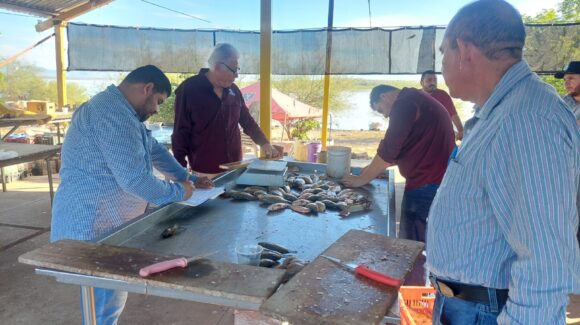 Realizan tercer muestreo en la presa Eustaquio Buelna, en Guamúchil; prevén una mala temporada