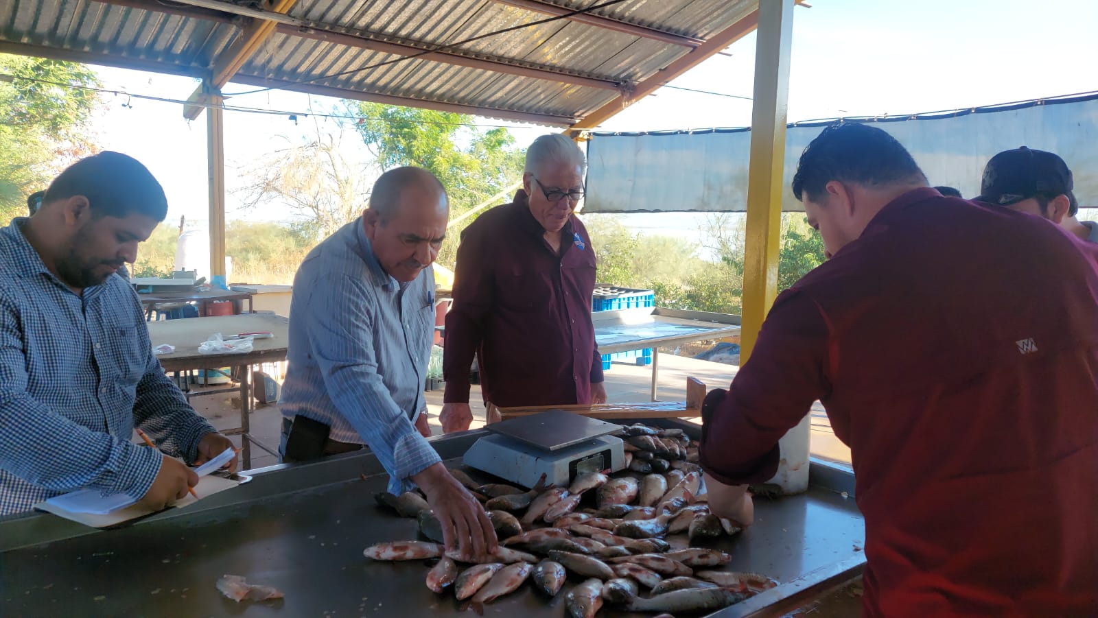muestreo de especies en la presa eustaquio buelna