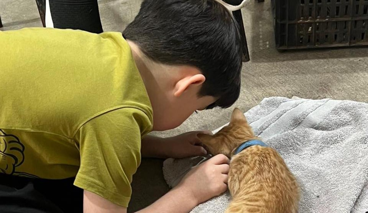 Niño con gatito