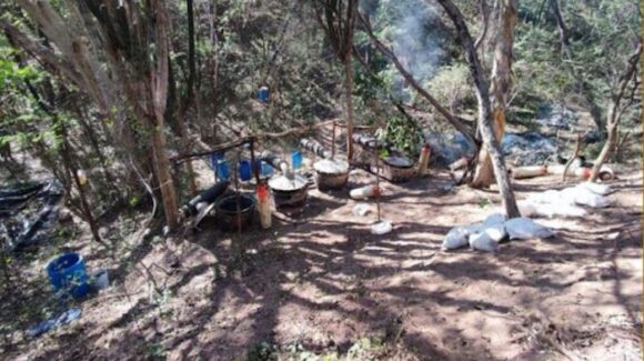 ¡Duro golpe! Más de mil 500 mdp en pérdidas al crimen organizado tras operativos y aseguramientos en Badiraguato y Culiacán, Sinaloa