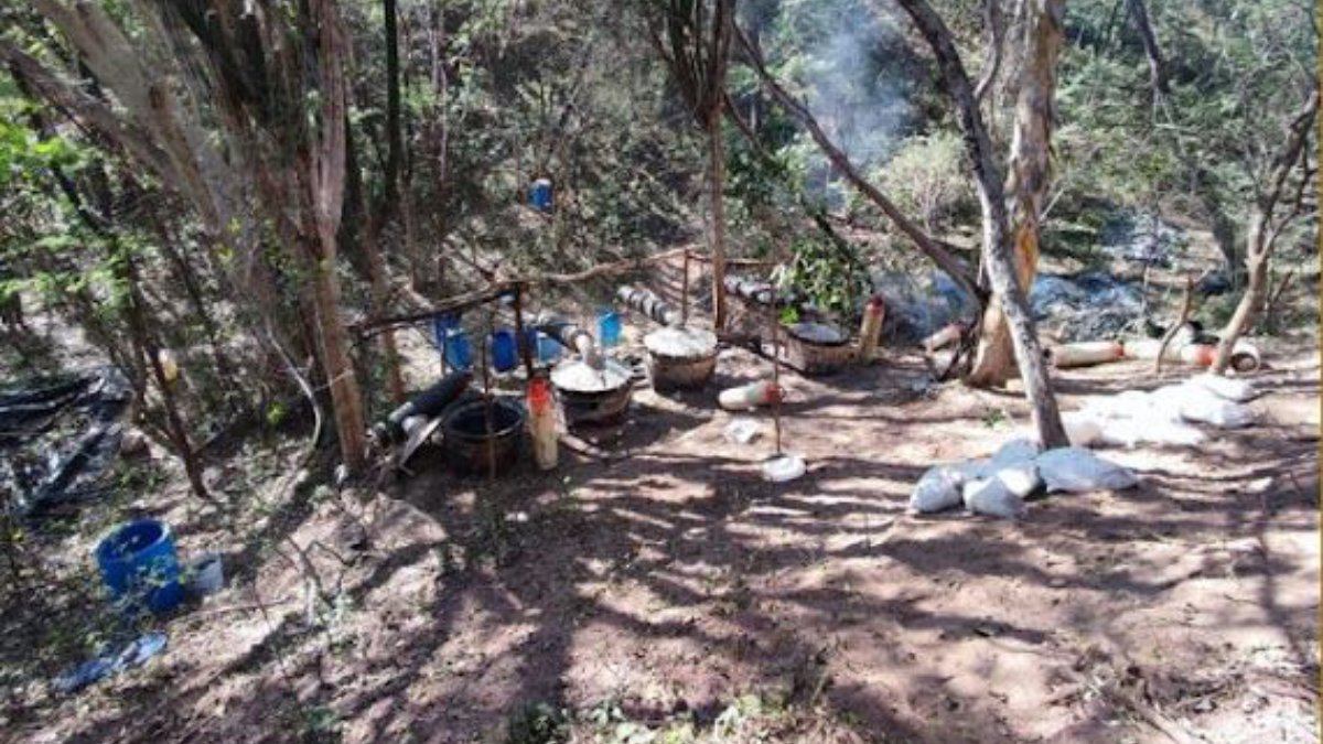 operativos y aseguramientos en badiraguato y culiacan sinaloa sierra