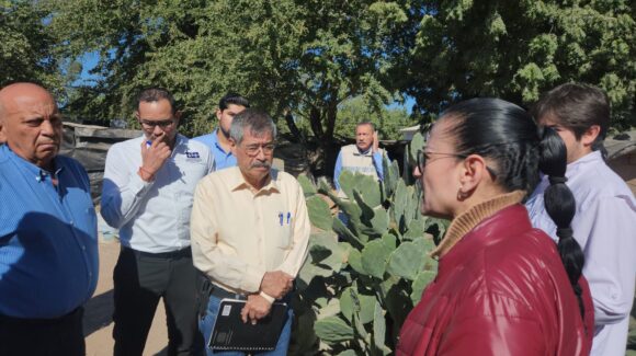 “Es un retroceso democrático”: CEDH Sinaloa advierte riesgos tras desaparición de la CEAIP