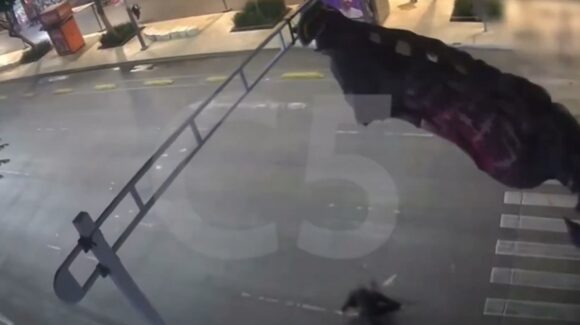 Viral | Paracaidista estadounidense se ‘atora’ en semáforo de la Ciudad de México (video)
