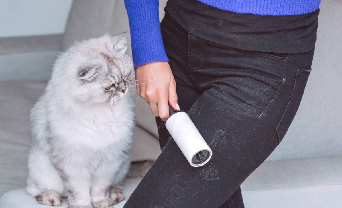 pelo de gato en la ropa