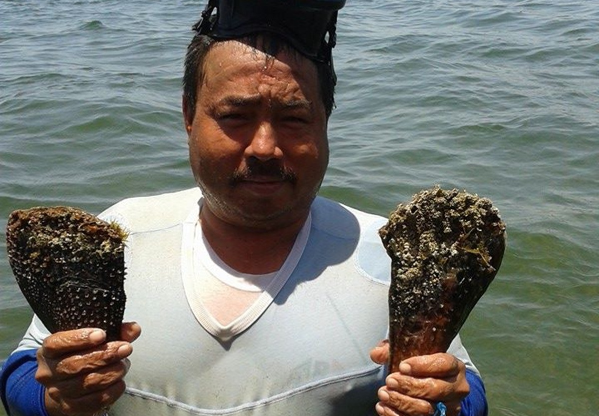 Pescador de almeja