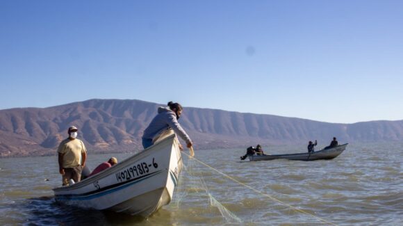 Sobreviven pescadores en medio de un mar de crisis y deudas, es la realidad de hoy los campos