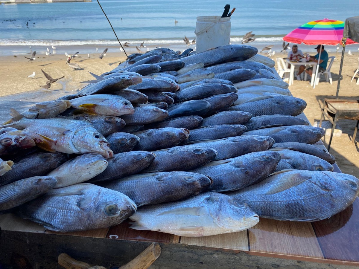 Pesca en Mazatlán