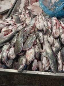 Pesca ilegal