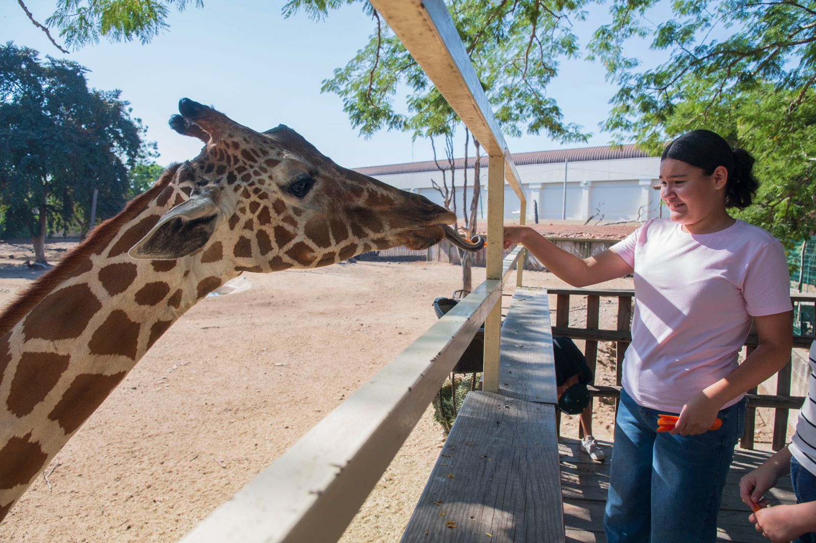 Zoológico de Culiacán