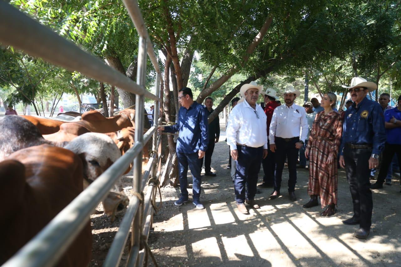primer tianguis ganadero de Mazatlán