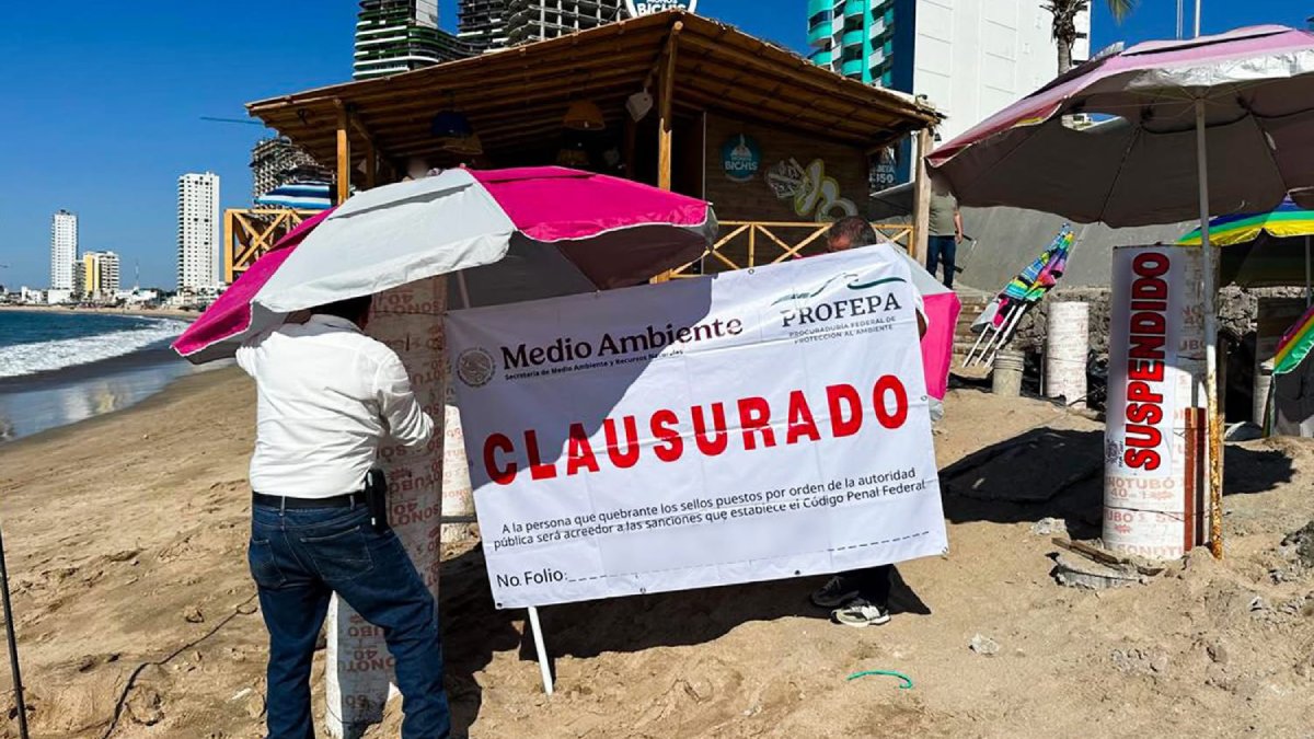 profepa clausura palapa en playa de mazatlan