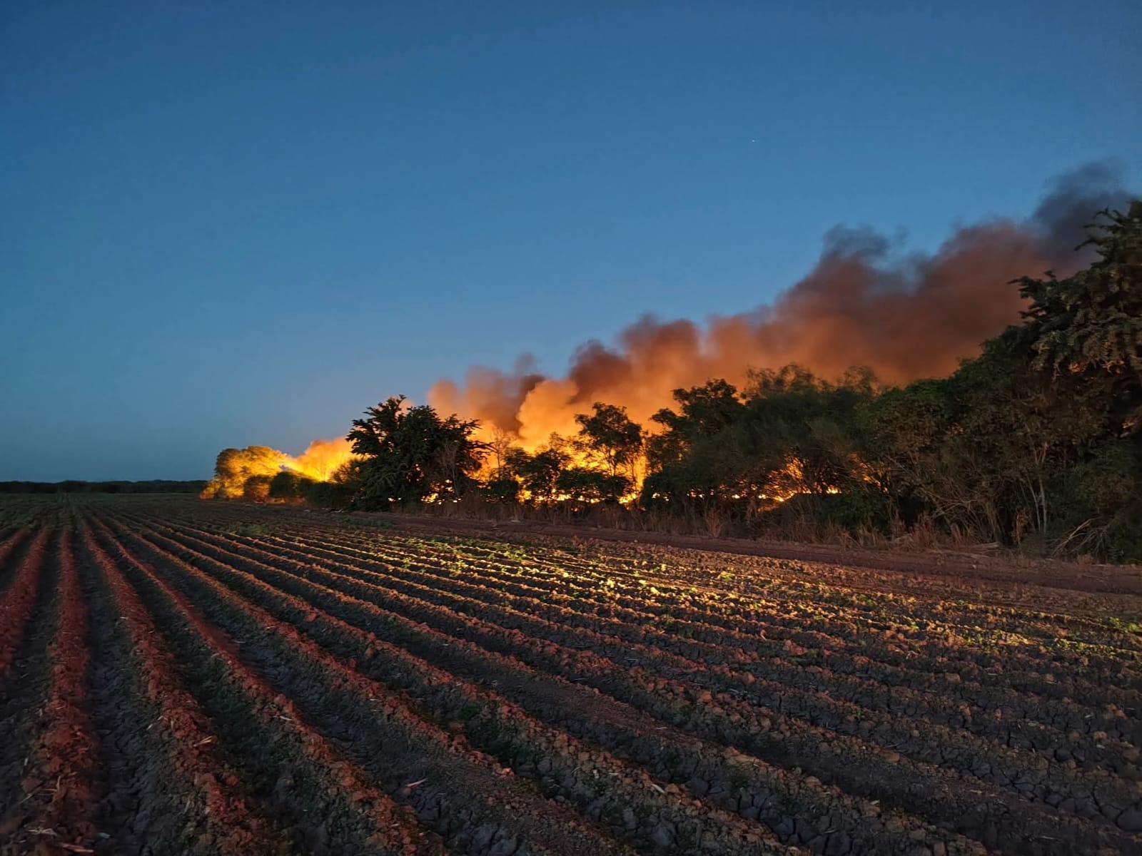 quema de basura en guasave