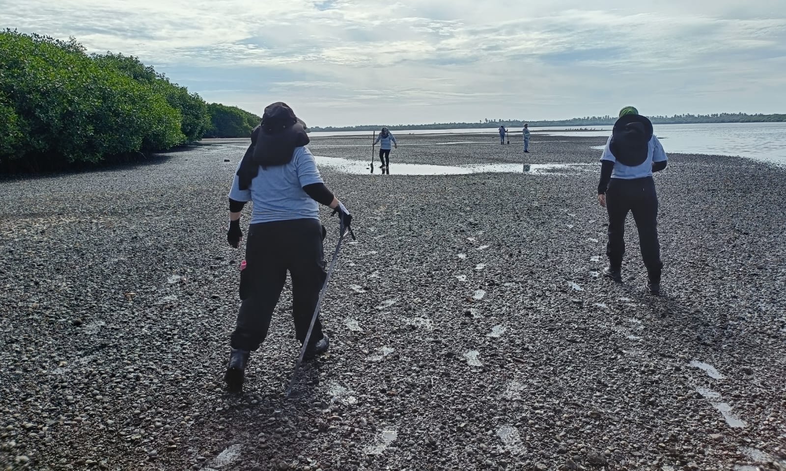 Rastreadoras de Mazatlán localizan restos humanos en zona de marismas