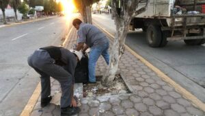 recoleccion de basura en guasave sinaloa lugar